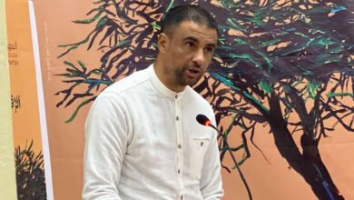 نص مسرحي للأطفال:العناكبلا تبني بيتا...  